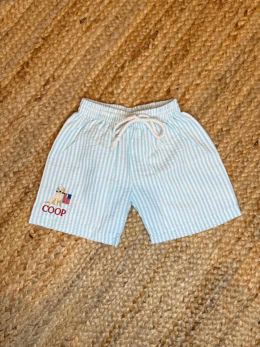 Boys Seersucker Swim Trunks